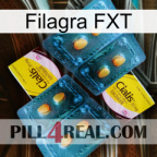 Filagra FXT cialis5